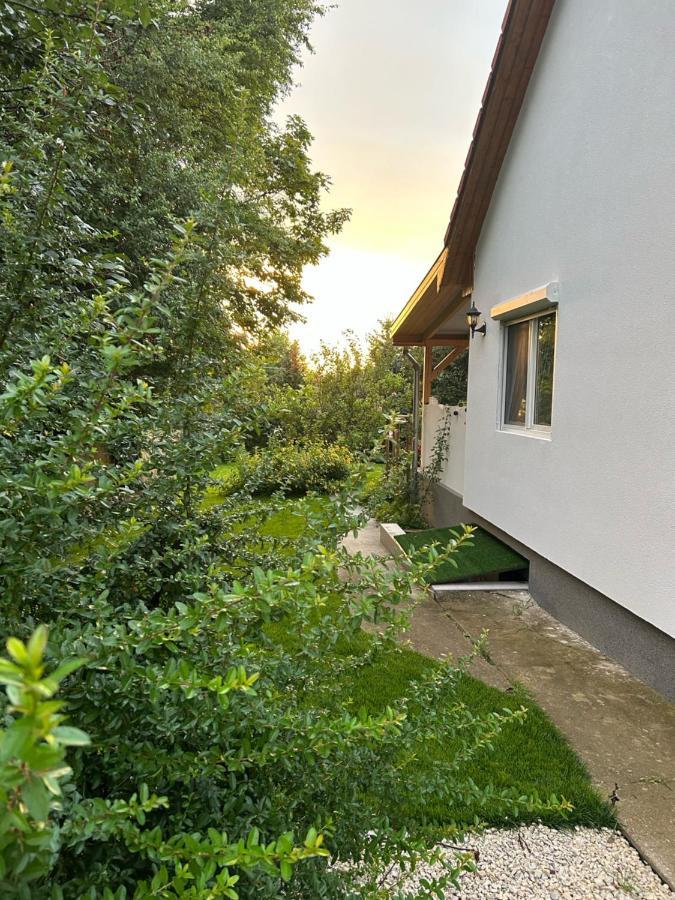 Villa Kisvirag Vendeghaz à Balatonvilágos Extérieur photo